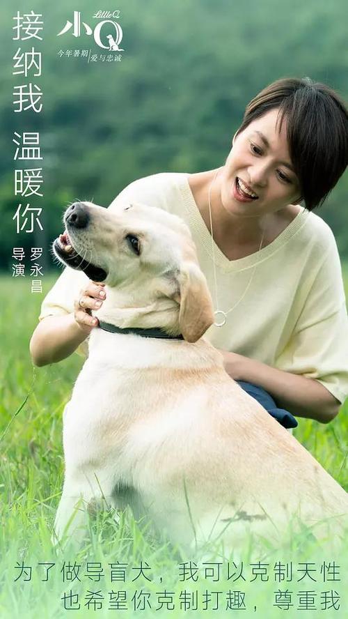 台湾驾照换国际驾照怎么申请
